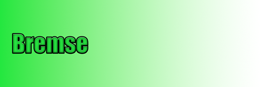 Bremse