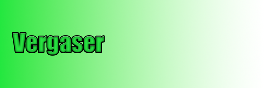 Vergaser
