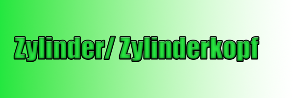 Zylinder/ Zylinderkopf