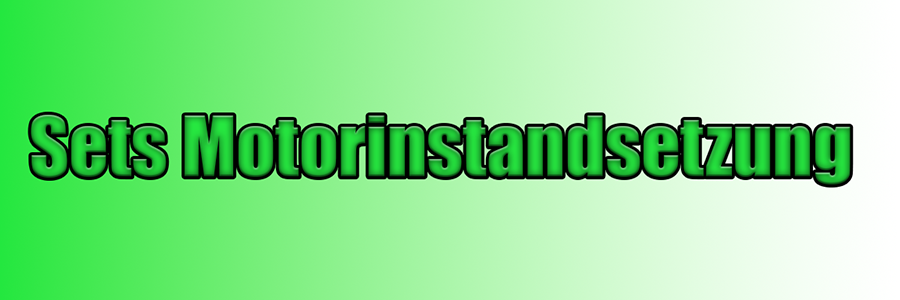 Sets Motorinstandsetzung