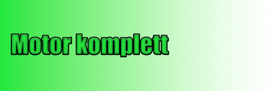 Motor komplett