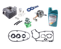 Set Motorreparatur 50 ccm inkl. SNH-Lager und...