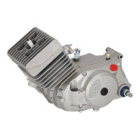 Motor 50ccm, 4-Gang, 60km/h, Gehäuse lackiert, NPC -...
